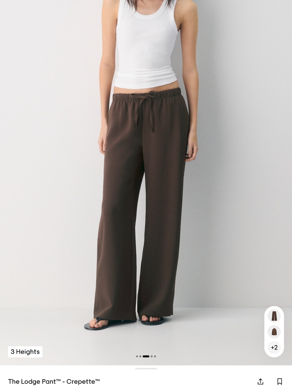 Aritzia Wide-Leg Drawstring Pants — Rich Mocha Brown